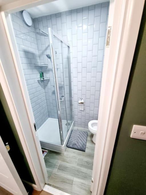 Beautiful Modern Apartment On Wick Lane 伦敦 外观 照片